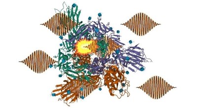 L’investigador Carles Serrat, de l’ESEIAAT de la UPC, proposa mètodes innovadors per fragmentar de manera selectiva molècules amb raigs X làser