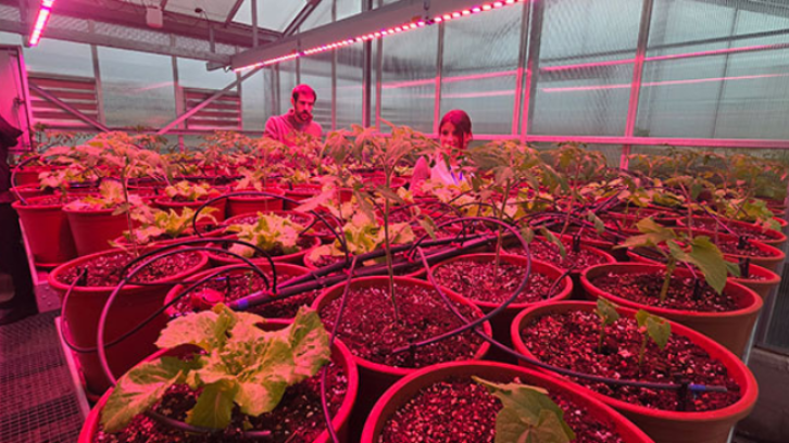 La UPC presenta a Terrassa 13 projectes de tecnologia agroalimentària amb solucions innovadores d’alt valor afegit